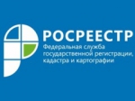"Ваш контроль"