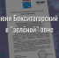 С 29 июня Бокситогорский район - в "зелёной" зоне - Бокситогорский район